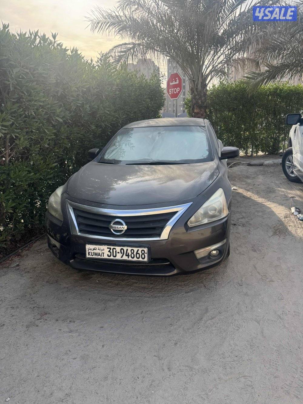 للبيع التيما سكراب.  سكراب2