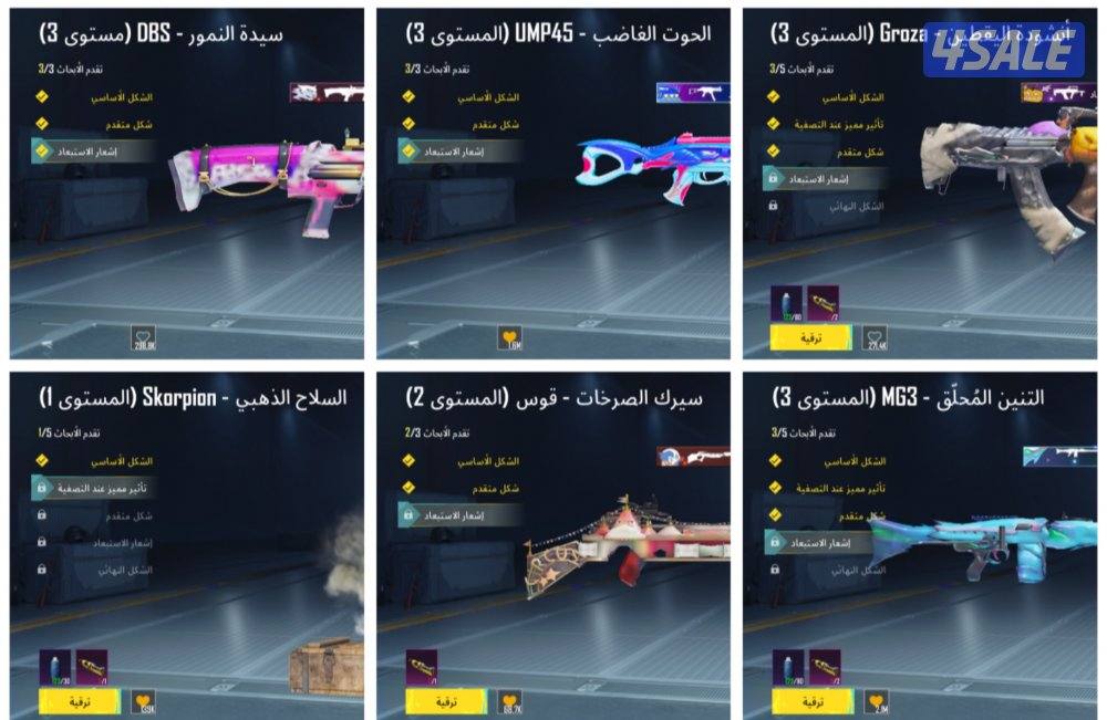 محقق رئيسي بوبجي2