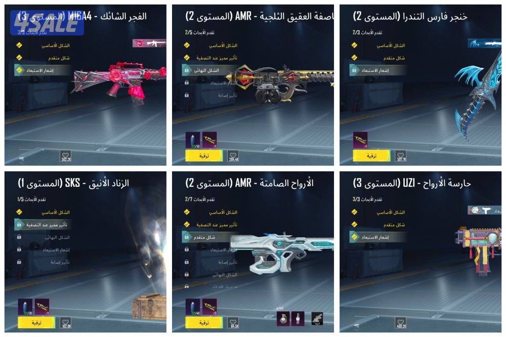 محقق رئيسي بوبجي4