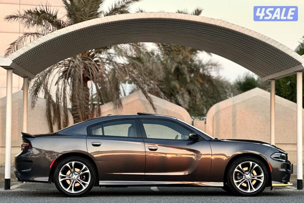 معرض القمة🚩3