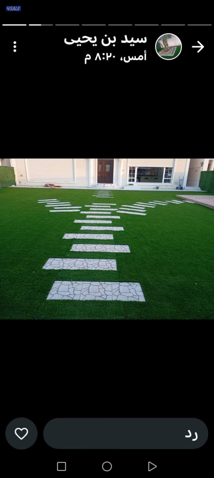 بيع وشراءالثيل الطبيعي وتركيب الصناعي وبديل الخشب زرع جميع انواع الورو12