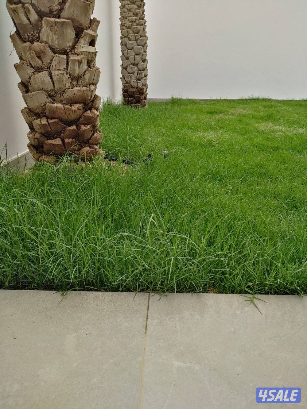 بيع وشراءالثيل الطبيعي وتركيب الصناعي وبديل الخشب زرع جميع انواع الورو14