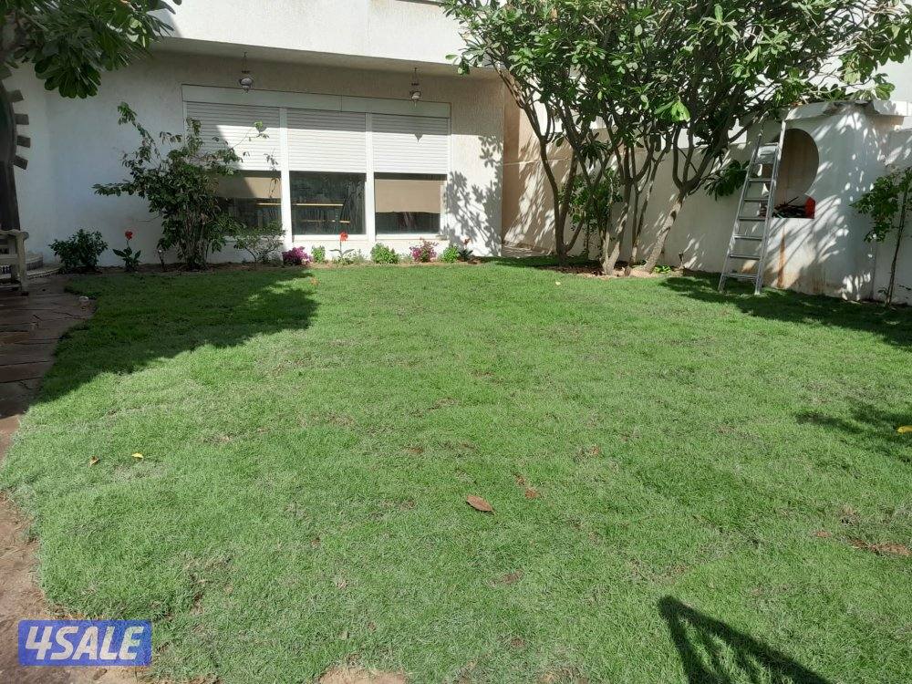 بيع وشراءالثيل الطبيعي وتركيب الصناعي وبديل الخشب زرع جميع انواع الورو13