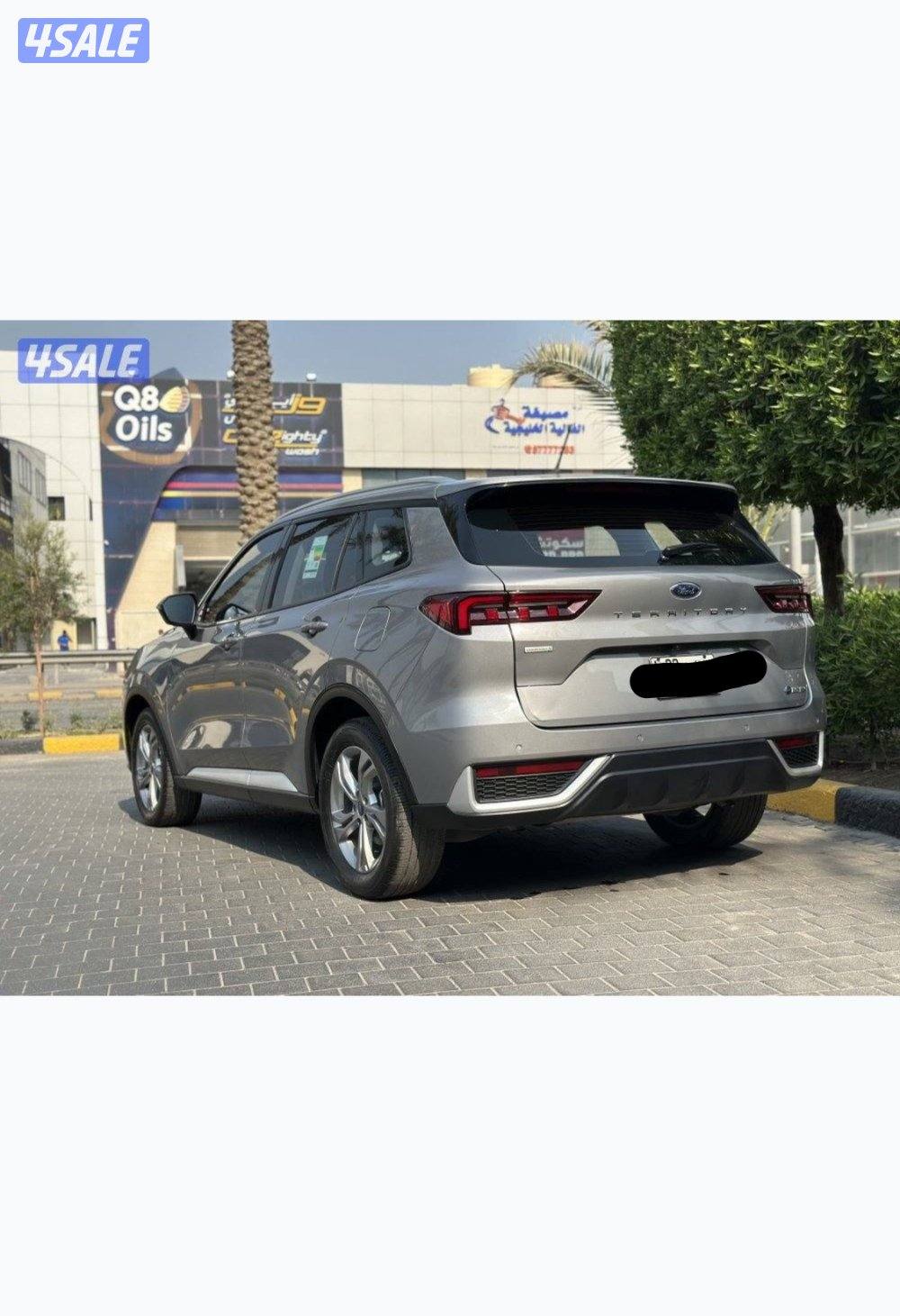 تيرتوري 20241