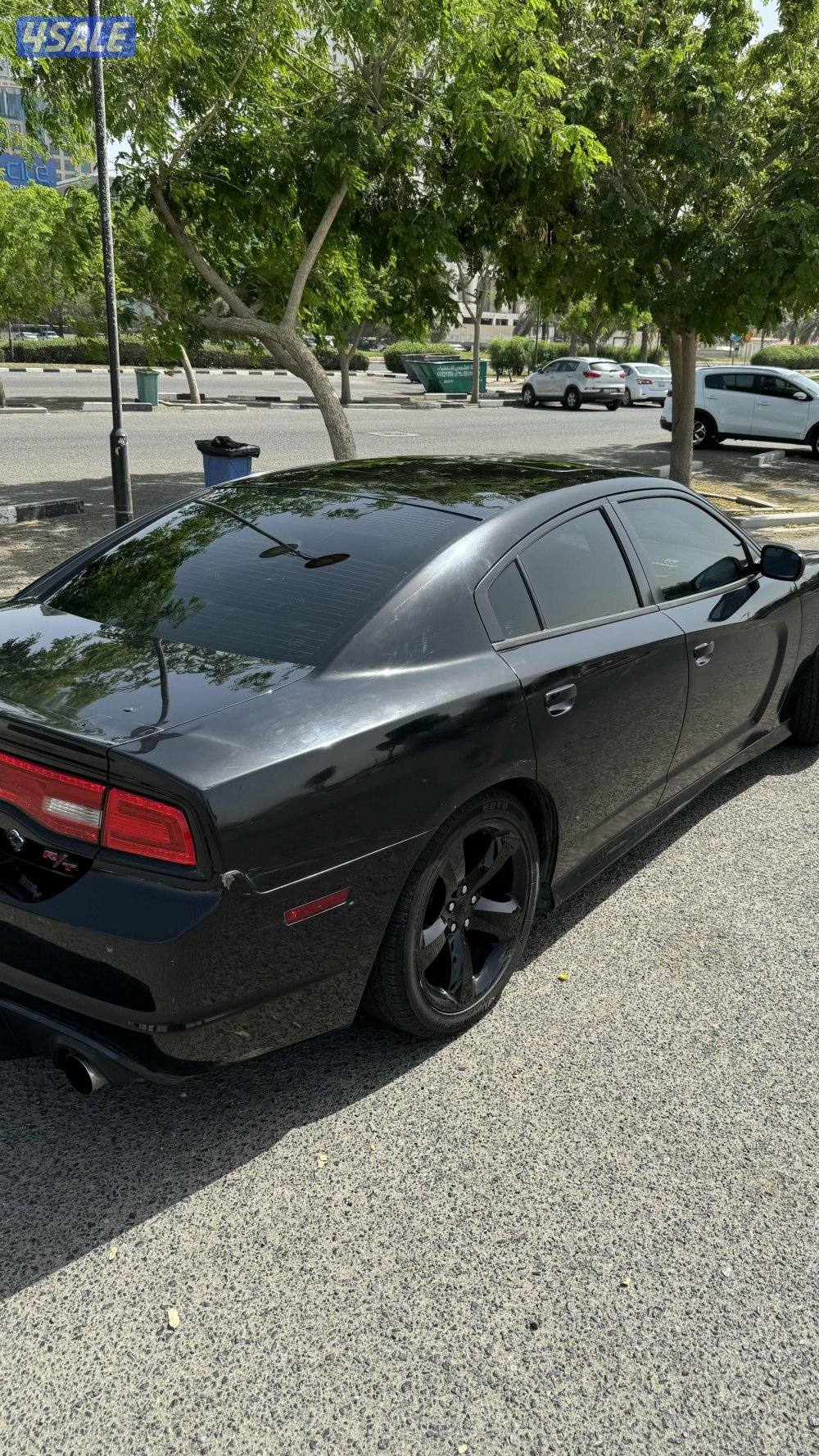 Dodge Charger 2013 R/T1