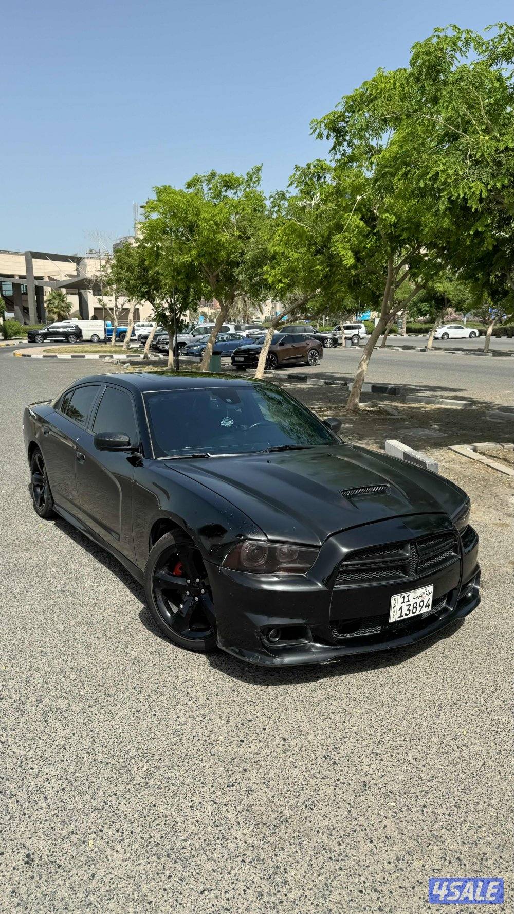 Dodge Charger 2013 R/T3