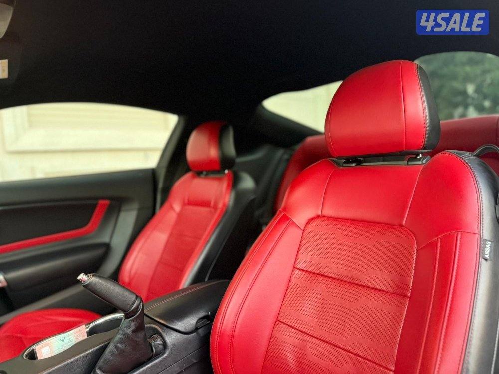 موستنق بريموم شرط الفحص بالكامل9