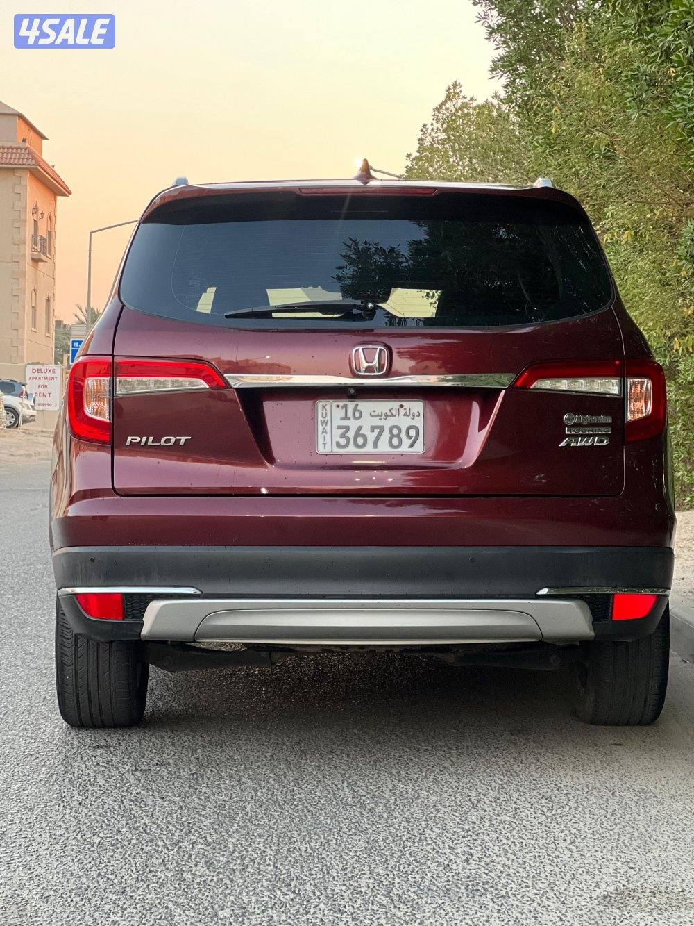 هوندا بايلوت Touring صبغ الوكالة 20192