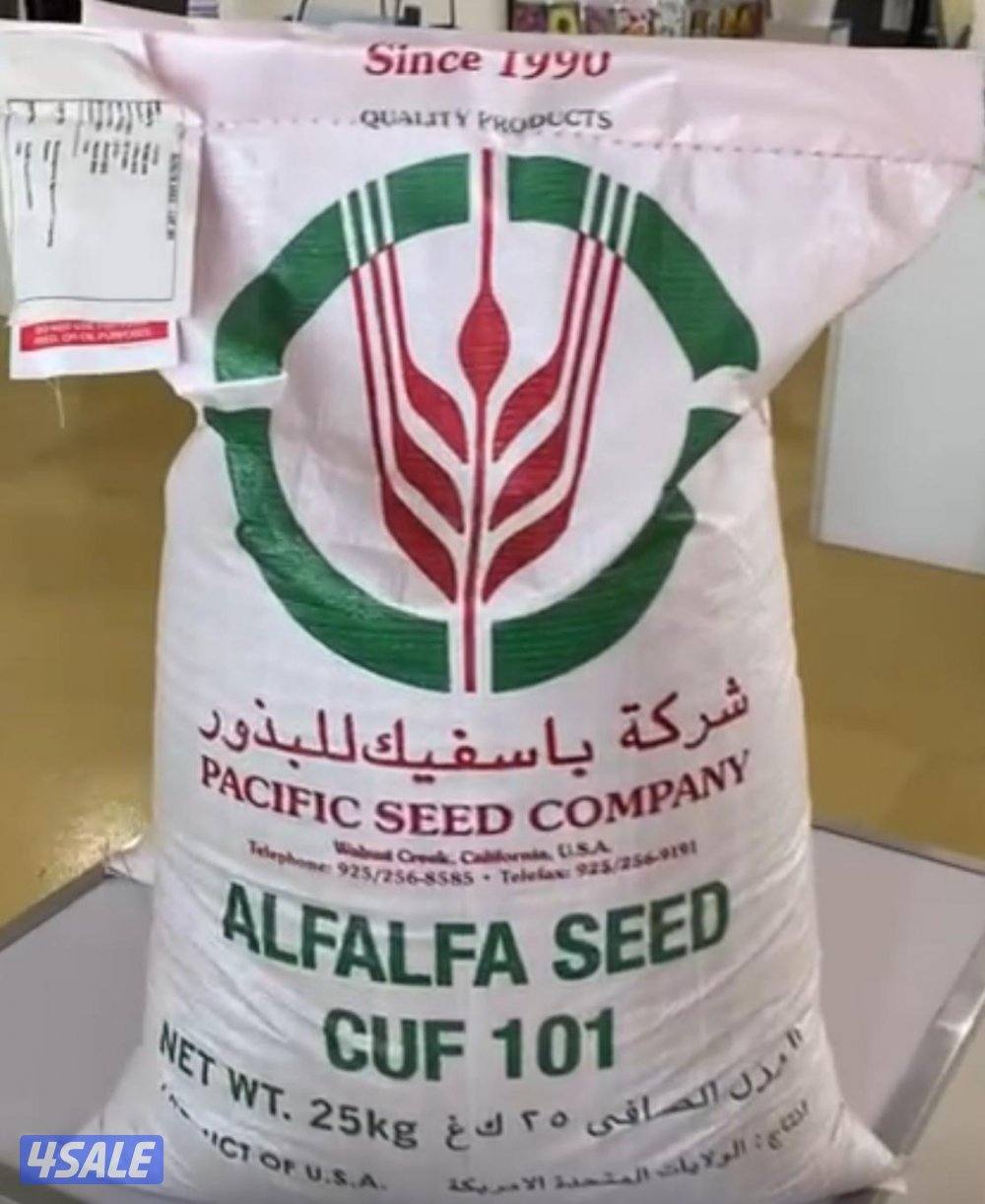 برسيم امريكي ك ١٠١0