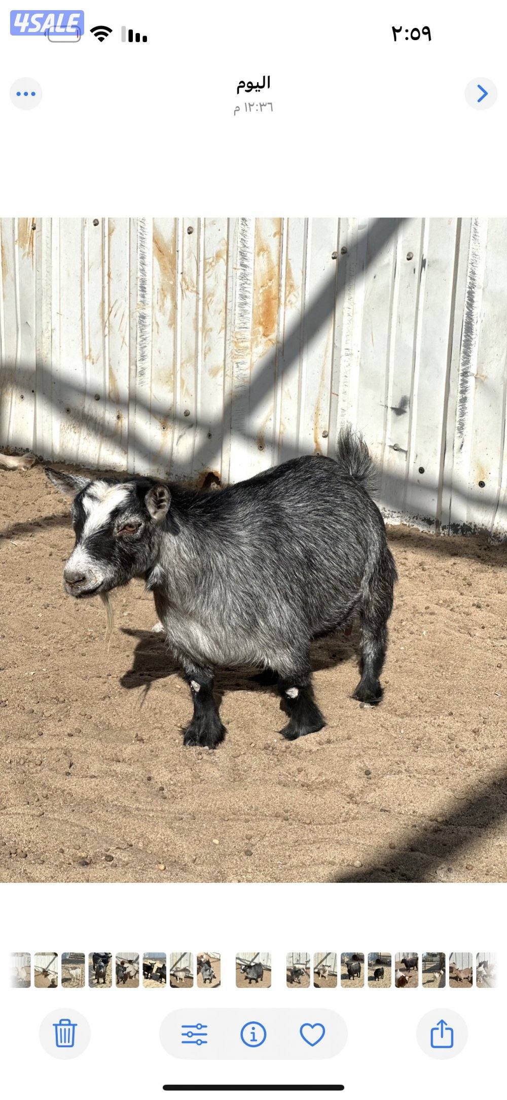 جيكيات مكسات مضاريع صنف6