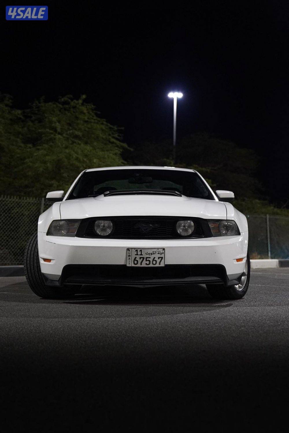 موستنق 2010 سبيشل كالفورنيا1