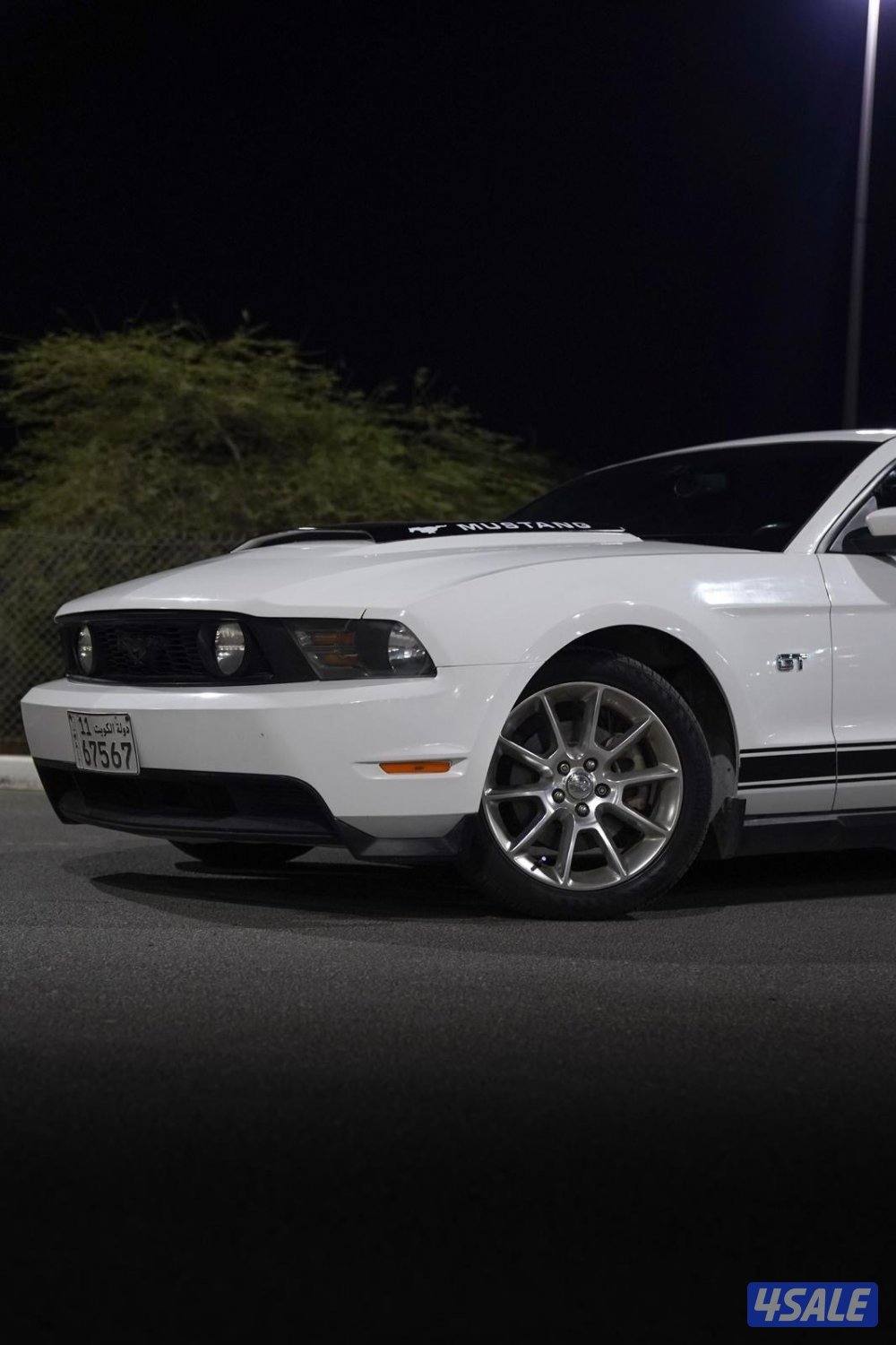 موستنق 2010 سبيشل كالفورنيا2