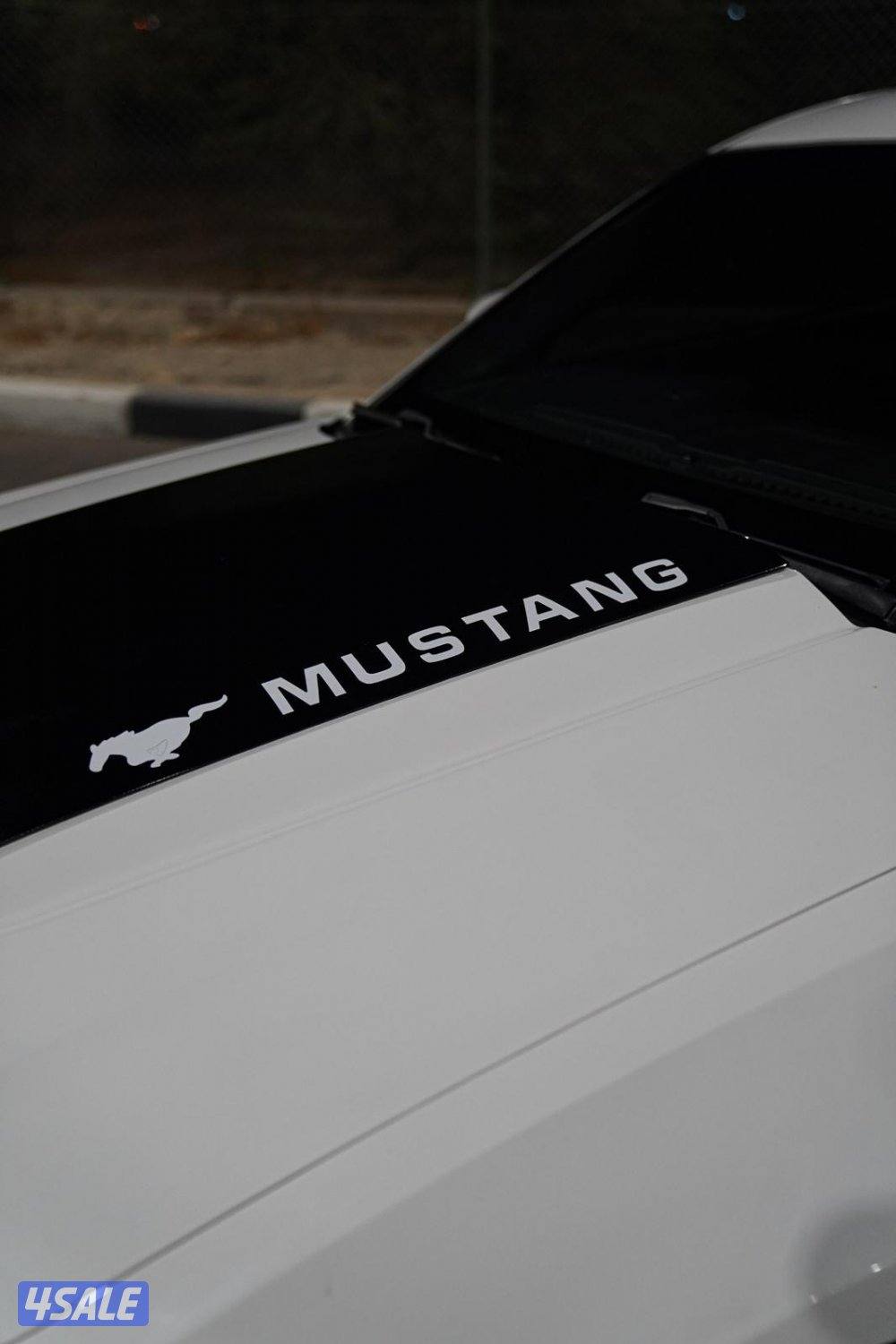 موستنق 2010 سبيشل كالفورنيا8