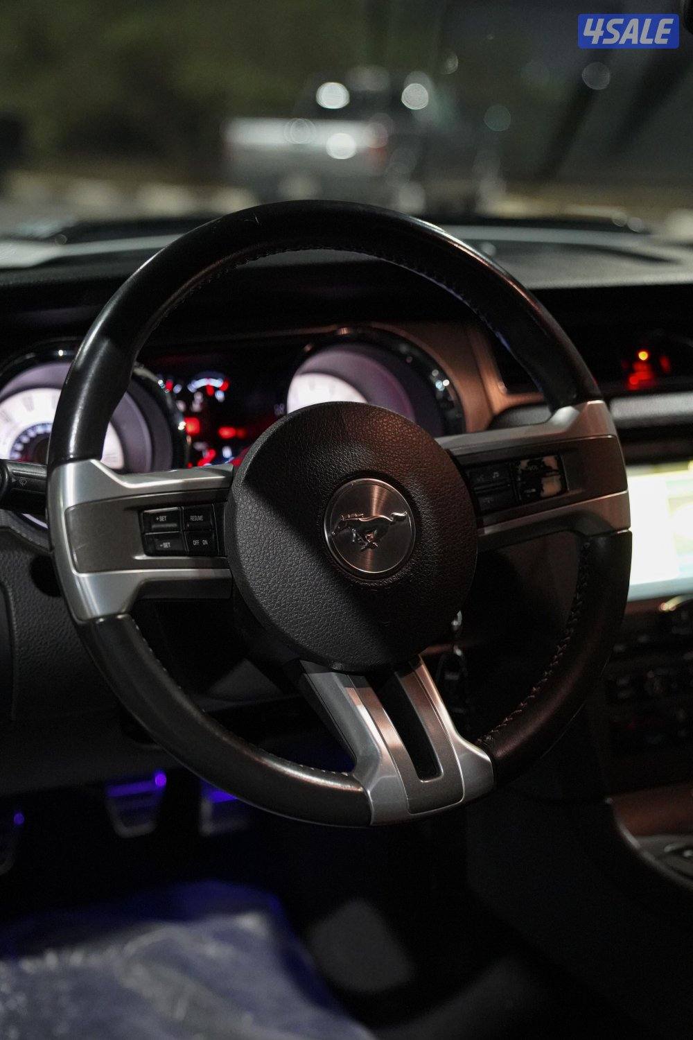 موستنق 2010 سبيشل كالفورنيا10