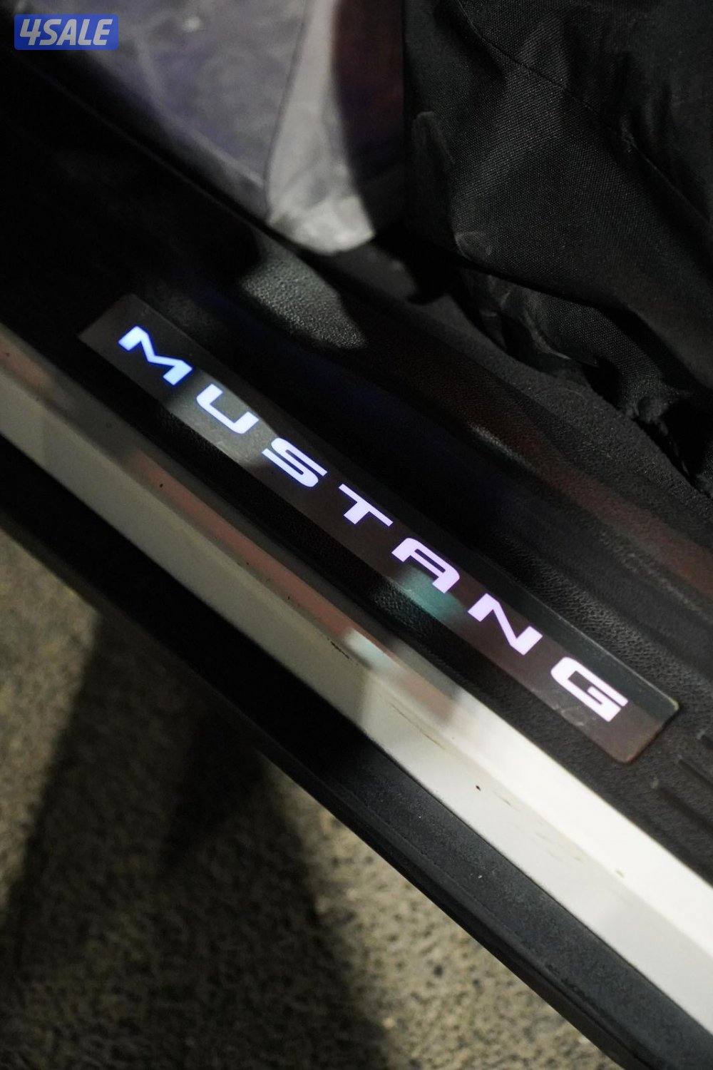 موستنق 2010 سبيشل كالفورنيا14