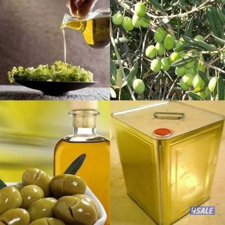 زيت زيتون فلسطيني0