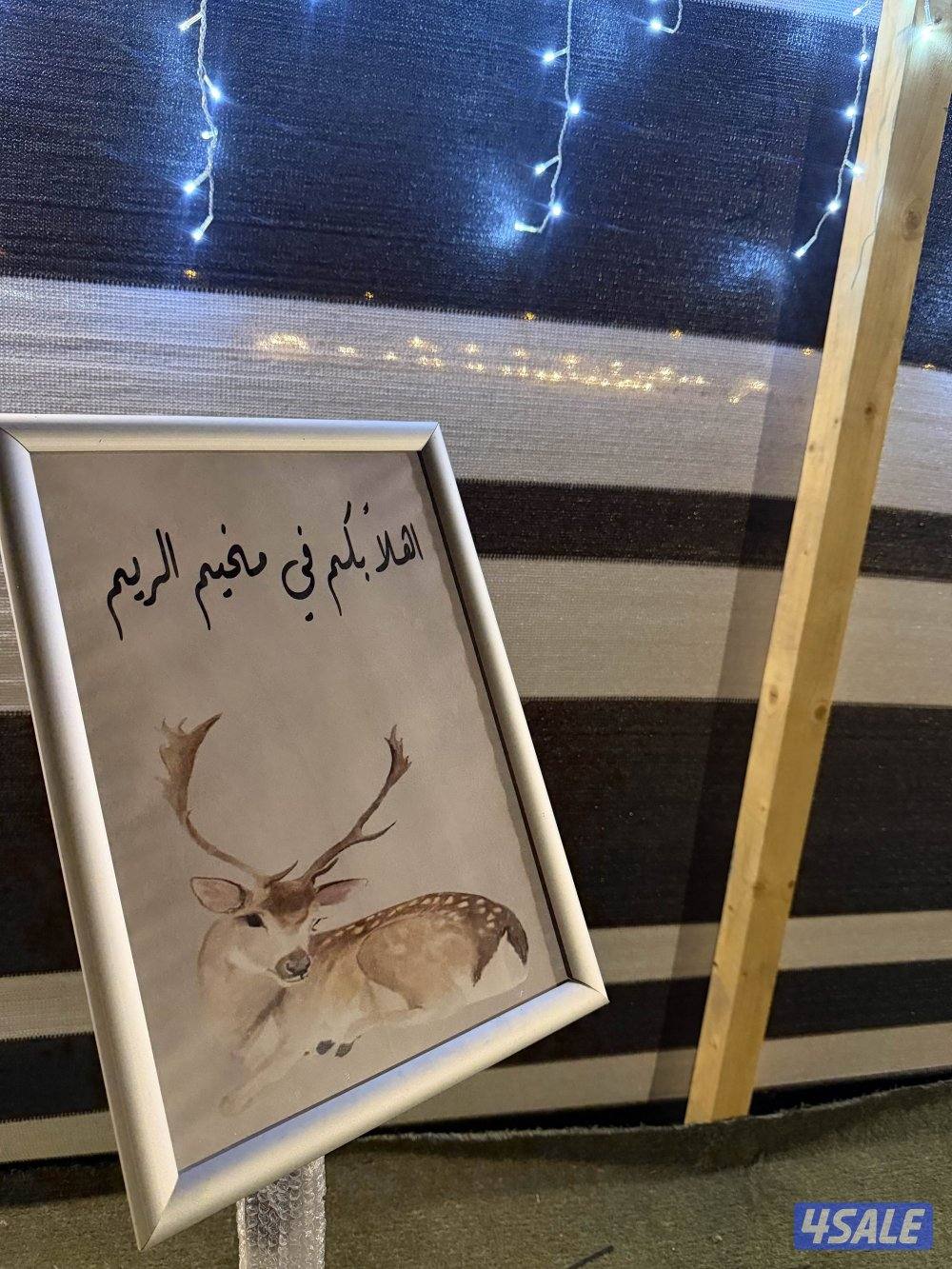 مخيم الريم0