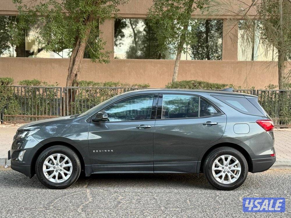 شفر ايكونكس 20191