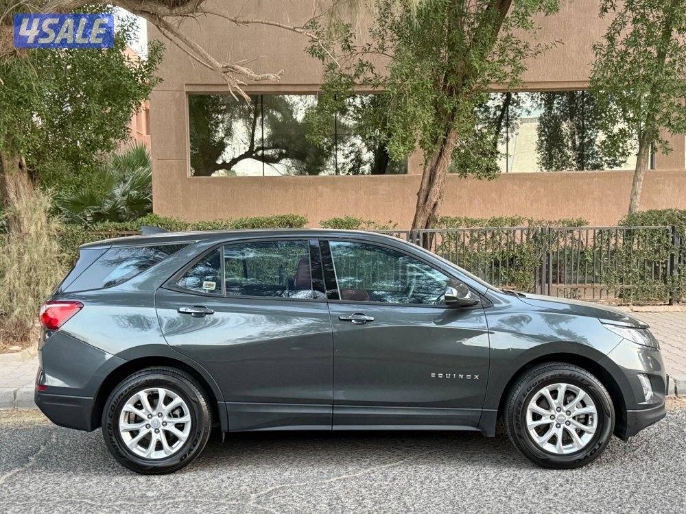 شفر ايكونكس 20195