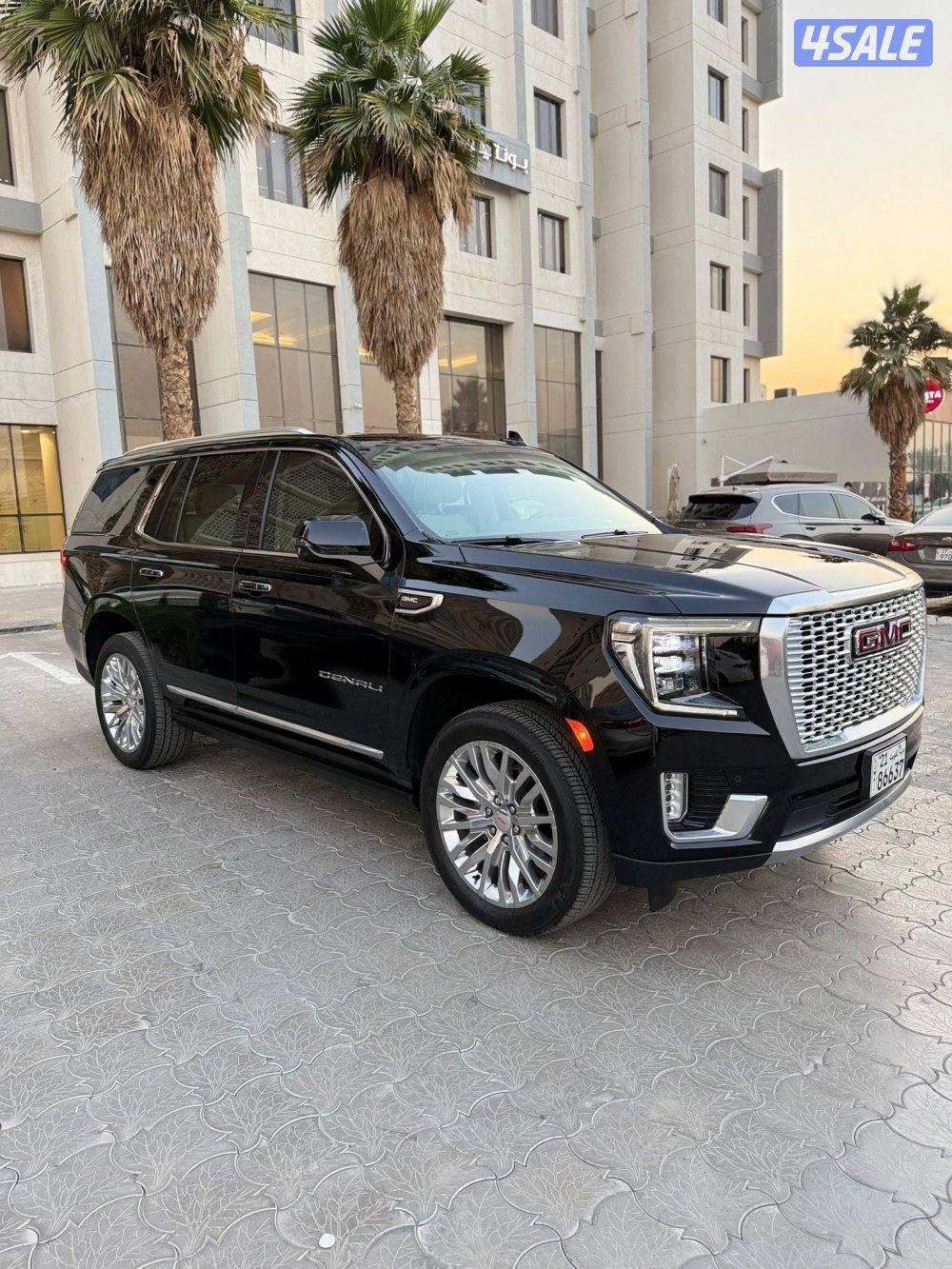 يوكن دينالي0