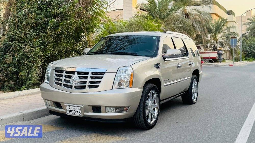 للبيع اسكاليد0