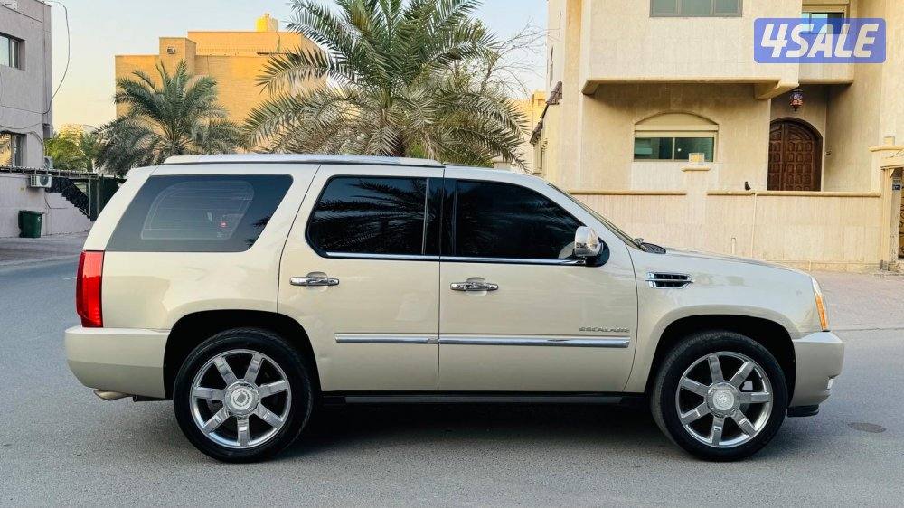 للبيع اسكاليد1