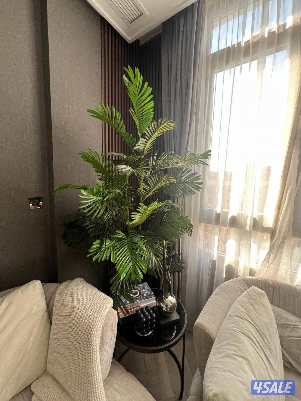 شقة على الساحلي قدام فوياج برج المهنا (خلو)2