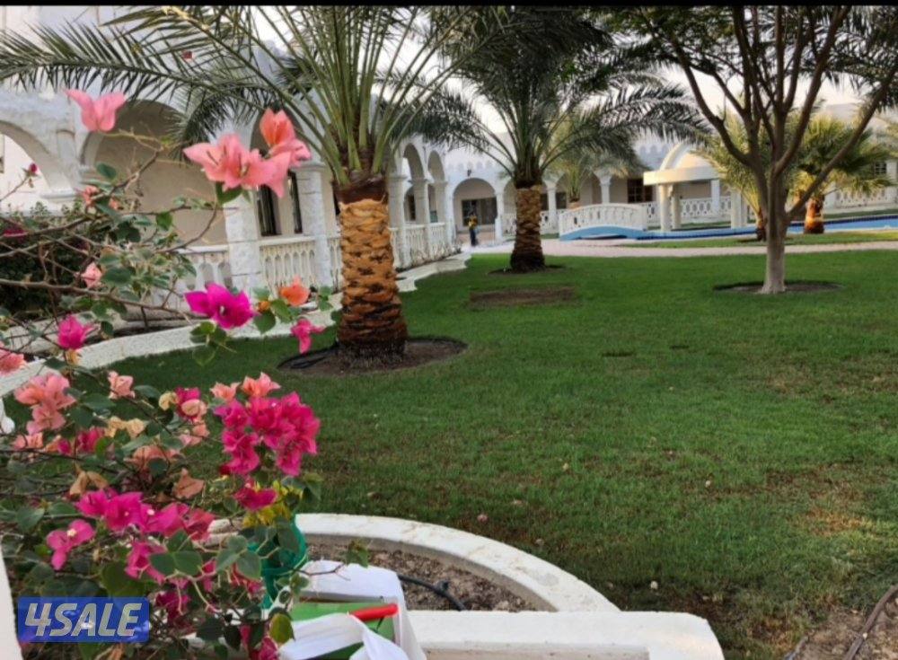 تنسيق الحدائق وتركيب السور التركي وتيل صناعي وطبيعي وشبكات الري9