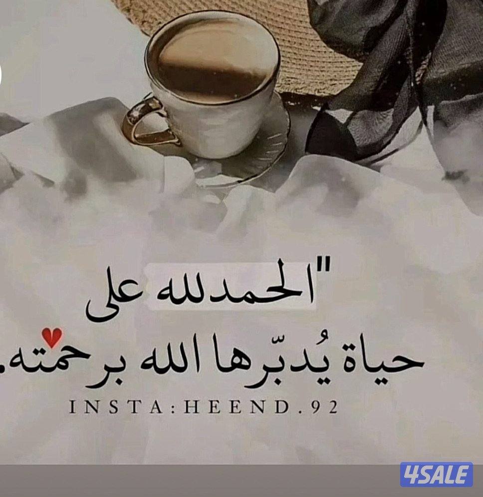 للايجار شقه في ابو فطيرة ٣غرف تشطيب نظيف0