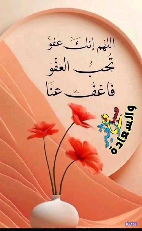 محفظ قرآن ومدرس  إسلامية  فقه وحديث وتجويد  تعليم عام ومعاهد دينية0