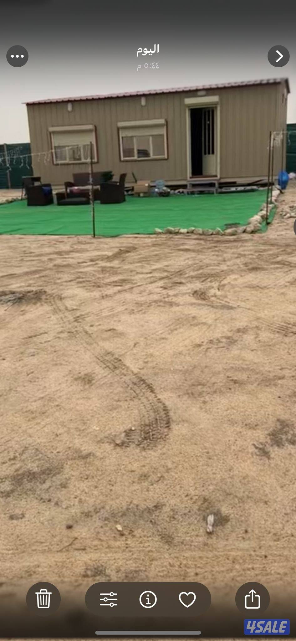 القرين القرين1