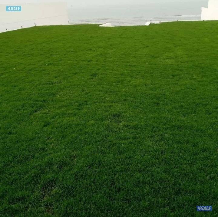 بيع تيل طبيعي  حق الحدائق تركيب ثيل صناعي سور تركي تيل طبيعي3