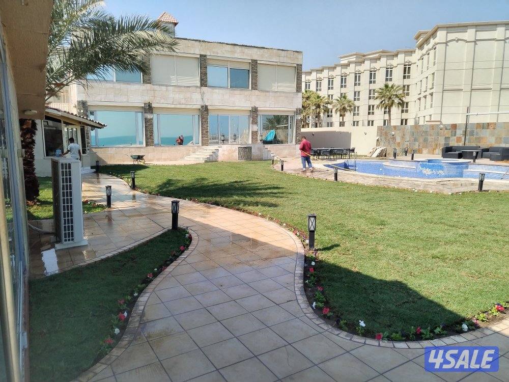 تنسيق حدائق مبيعات الثيل الصناعي والطبيعي  بأقل الأسعار2