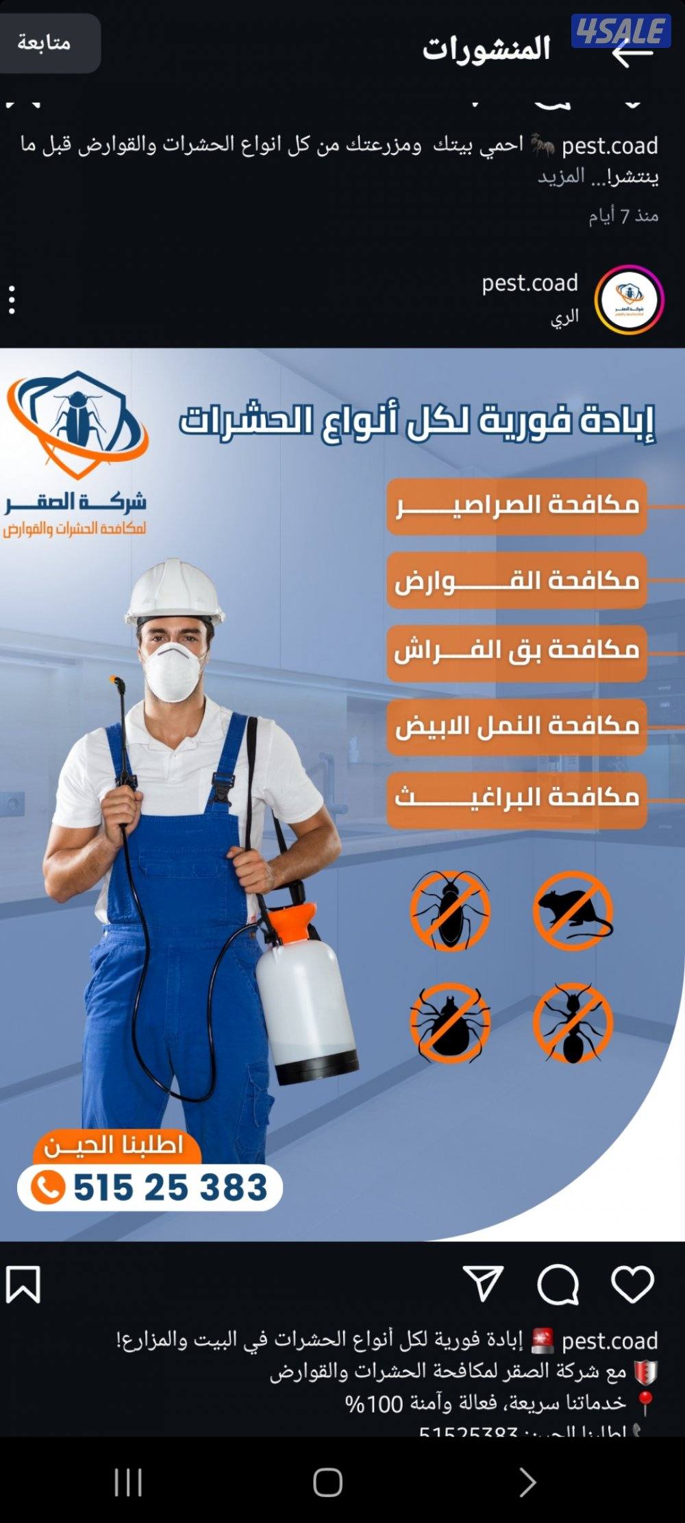 رش حشرات  رش بق فراش رش صراصير مكافحة حشرات مكافحة فيران مكافحة نمل0