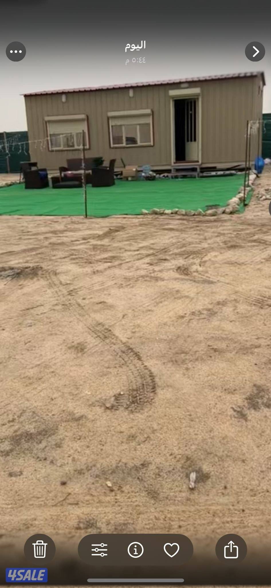 القرين القرين1