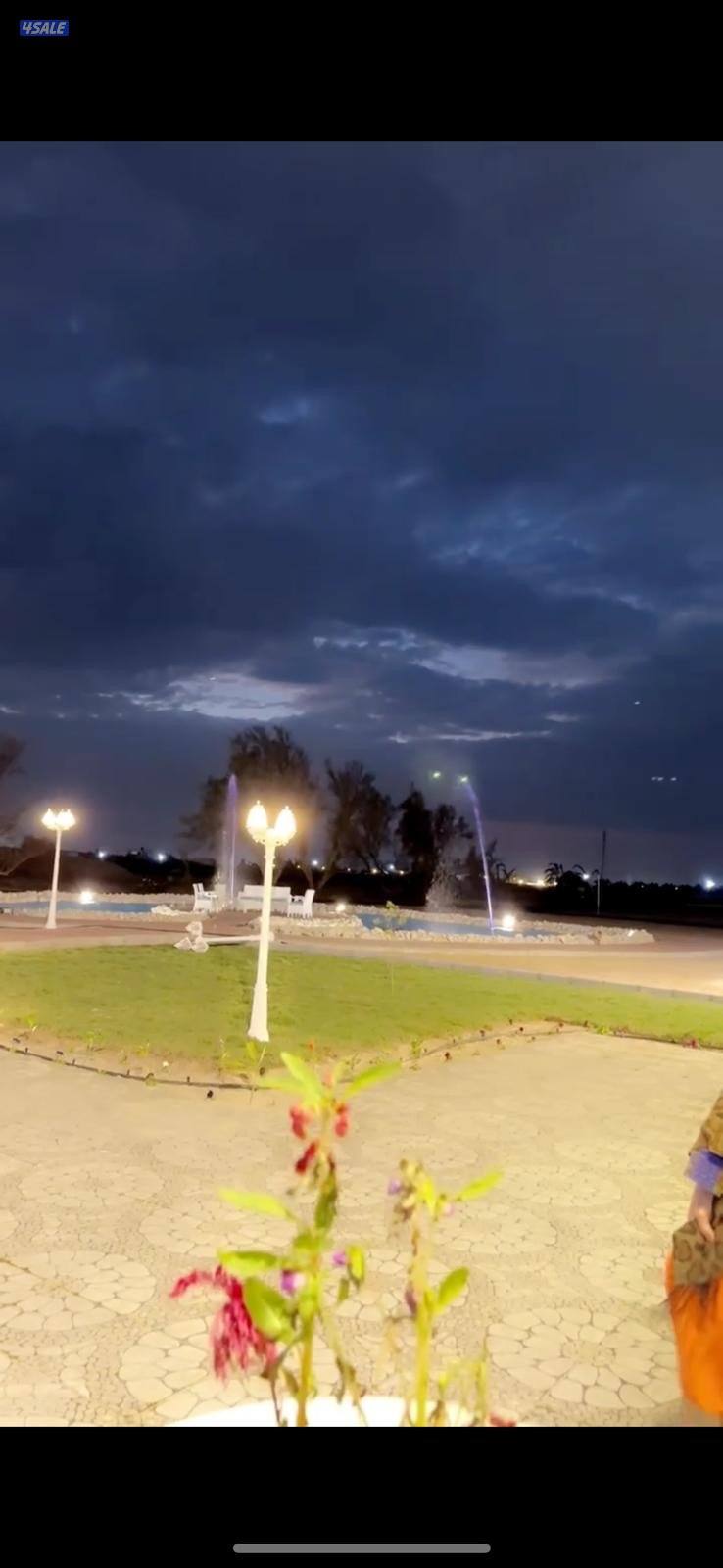 للبيع مزرعه بالعبدلي4