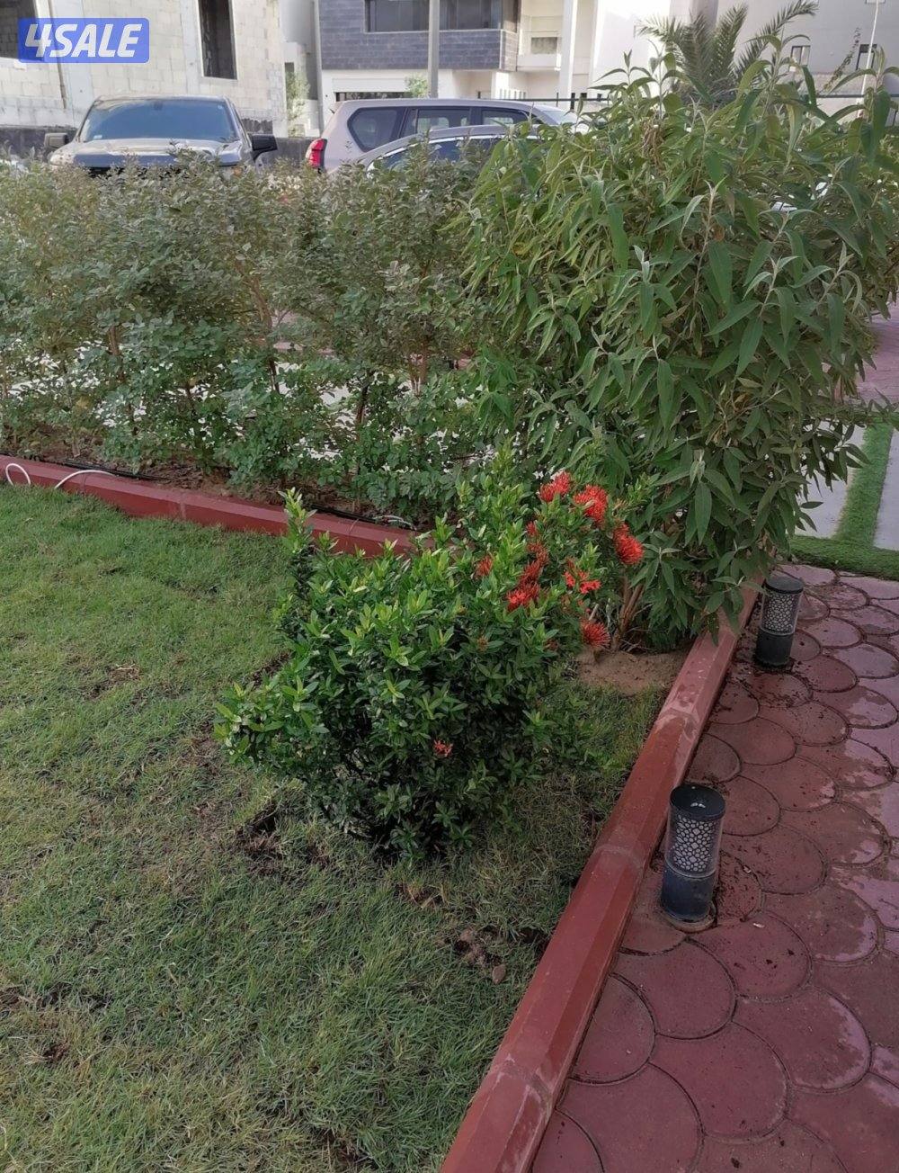 بيع وتركيب الثيل الصناعي والطبيعي وشبكات الري والسياج التركي3