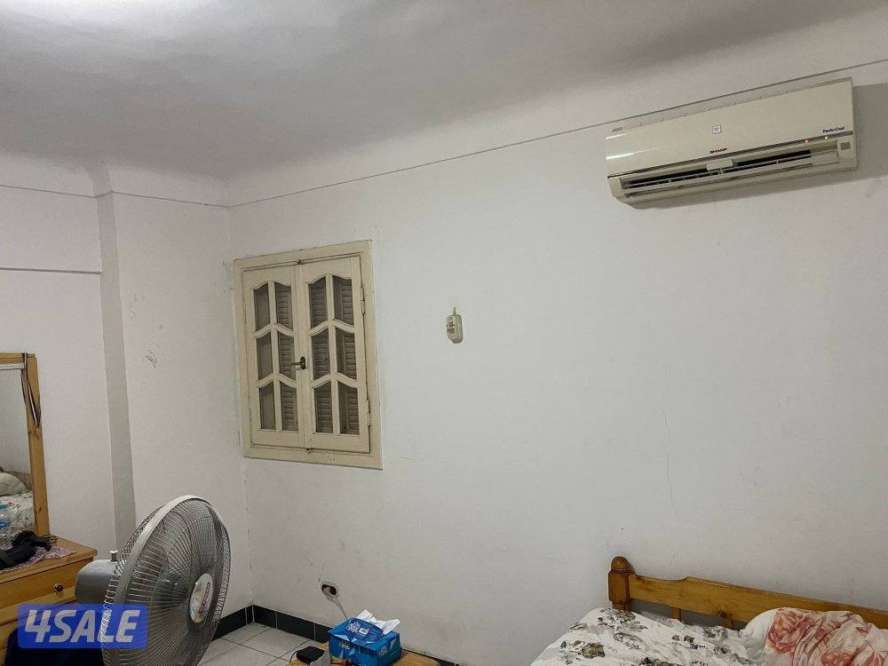 طلبه الكويت بالاسكندريه2