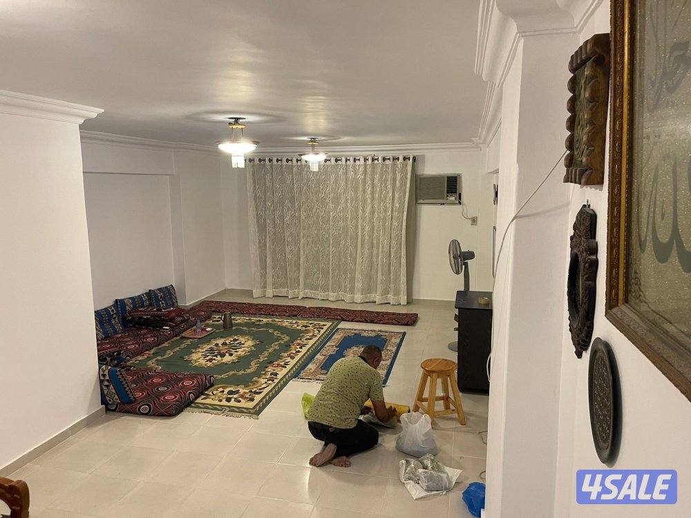 طلبه الكويت بالاسكندريه3