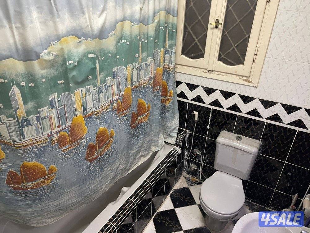 طلبه الكويت بالاسكندريه5