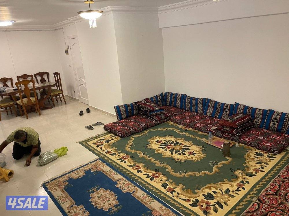 طلبه الكويت بالاسكندريه6