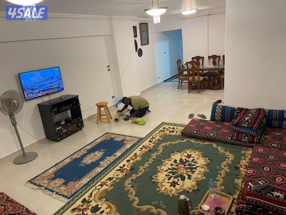 طلبه الكويت بالاسكندريه10