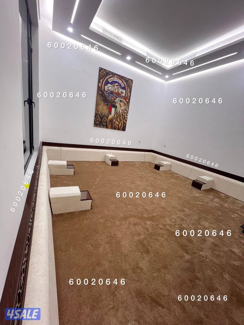 تفصال ديوانيات5