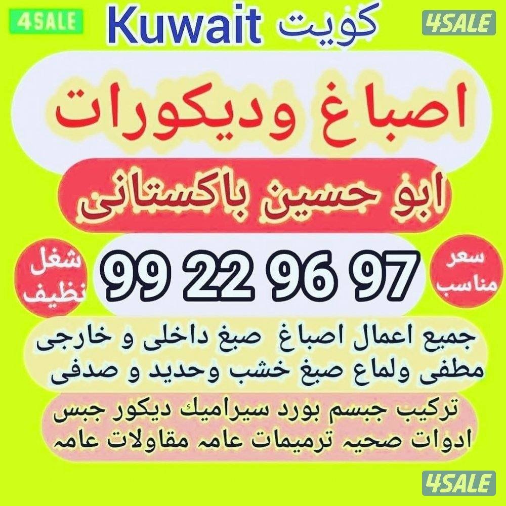 اصباغ وديكورات ابو حسين باكستاني0