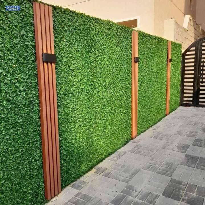 Muhammad salman hadada3