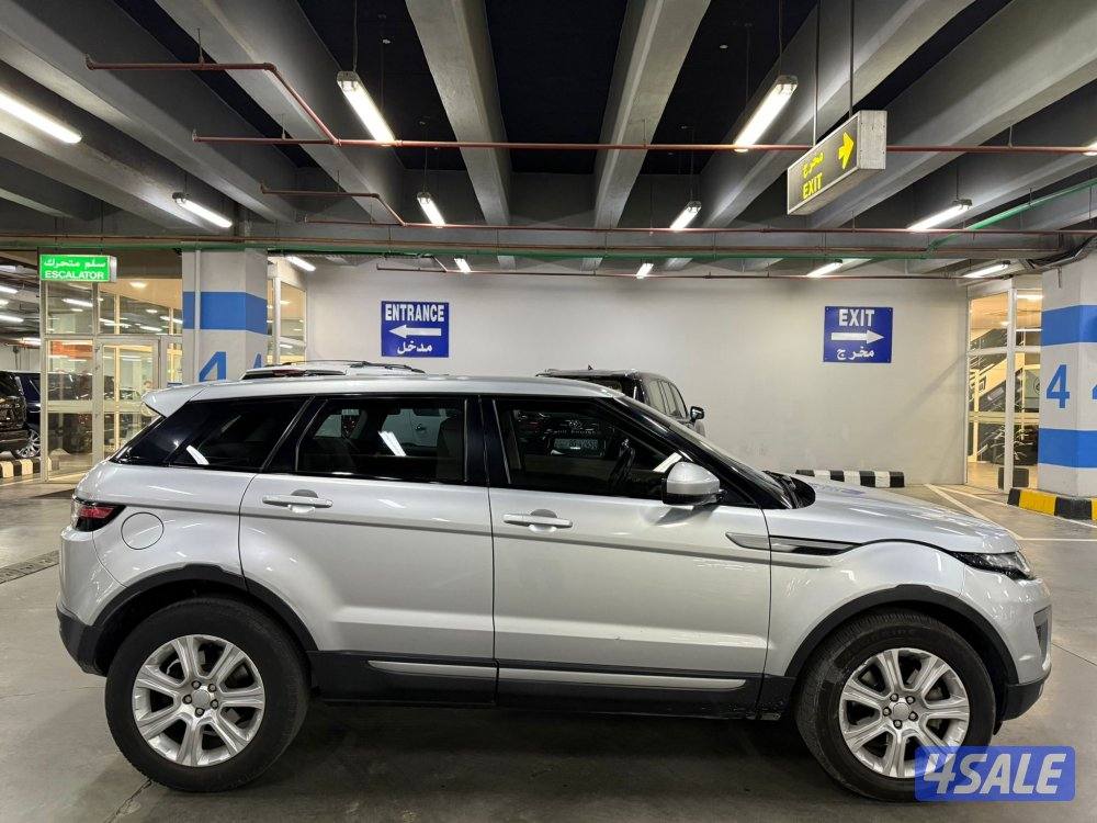 2016 ايفوك صبغ وكالة3