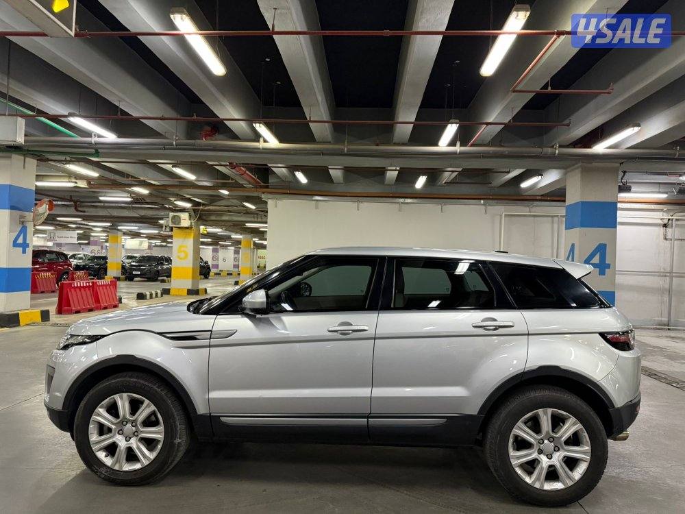 2016 ايفوك صبغ وكالة4