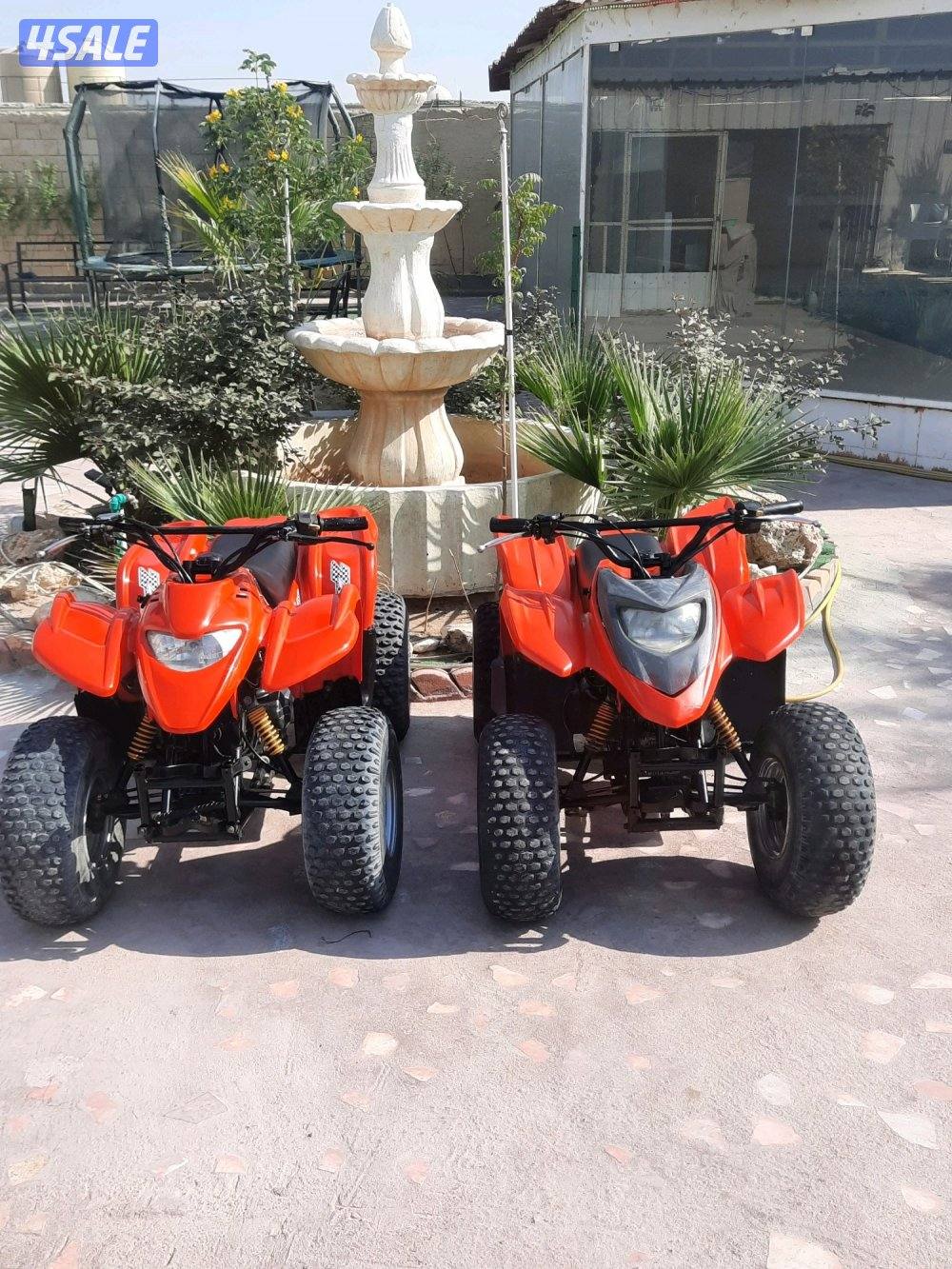 100CC New bogy fresh Condition0