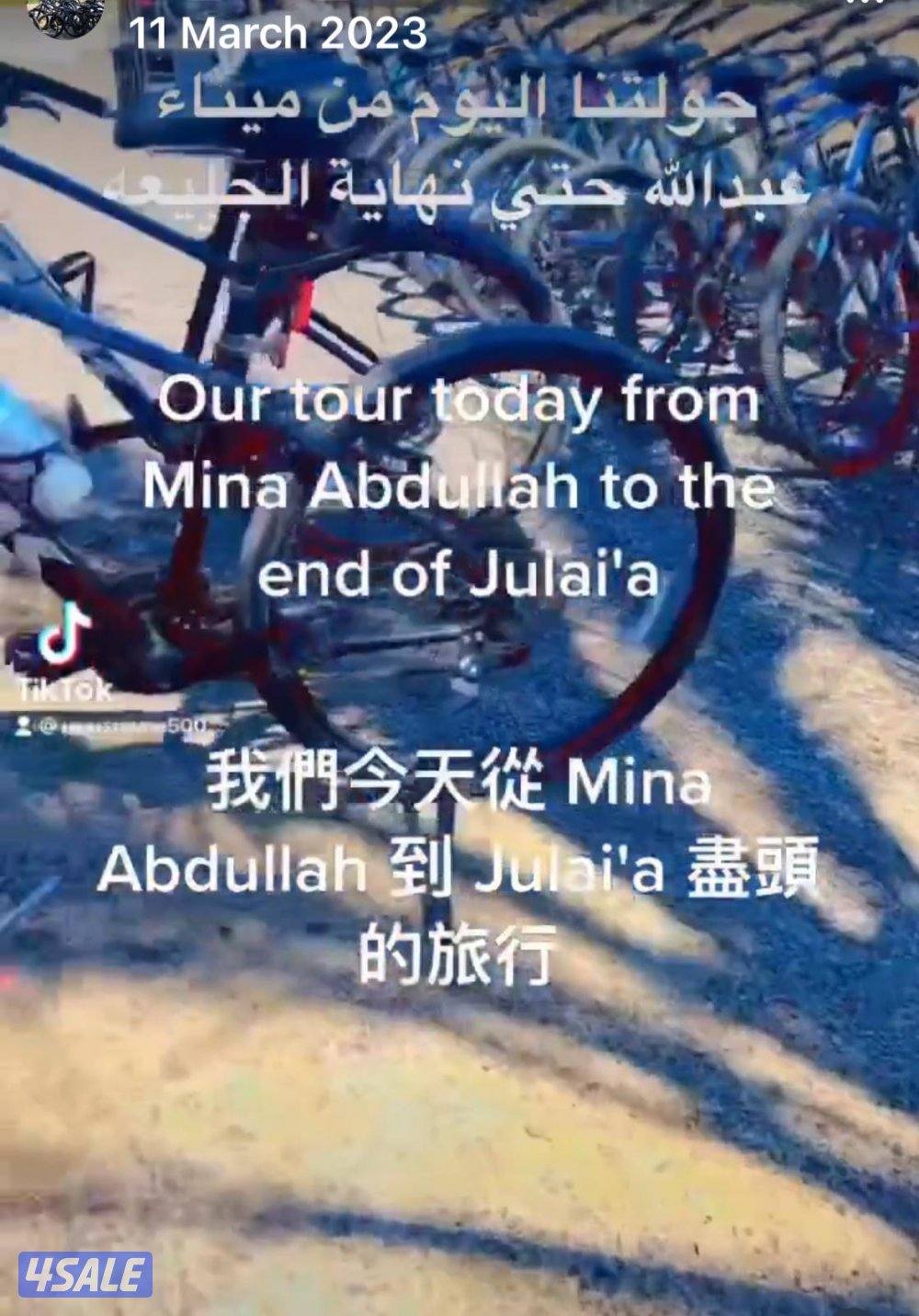 دراجات هوائية لإيجار - bikes for rent3