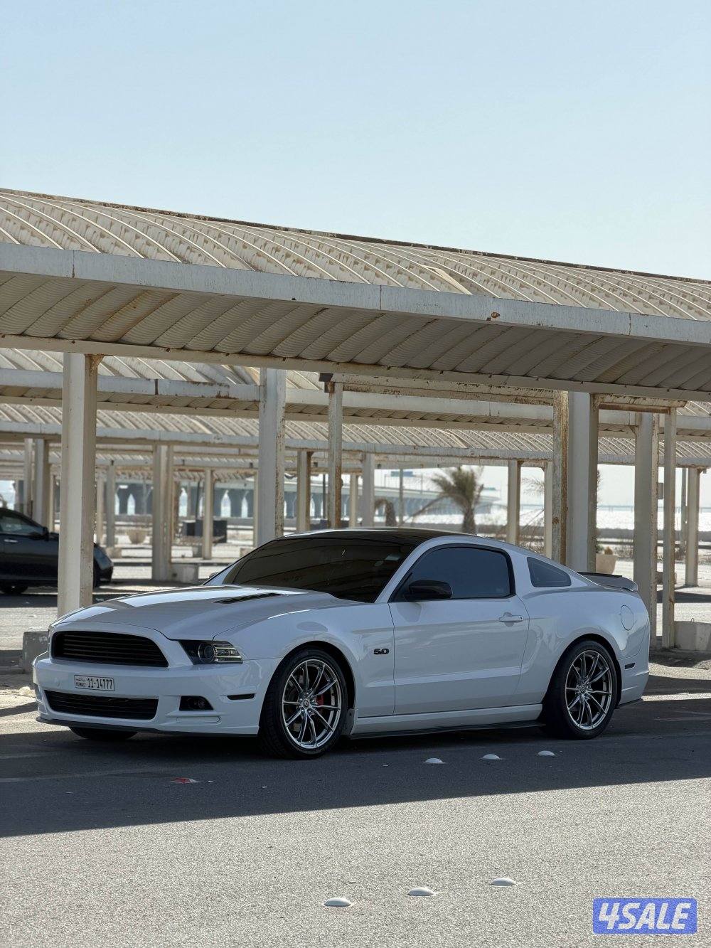 للبيع موستنغ ماشي 218 شاصي حكات ارضيه قمة النظافه6